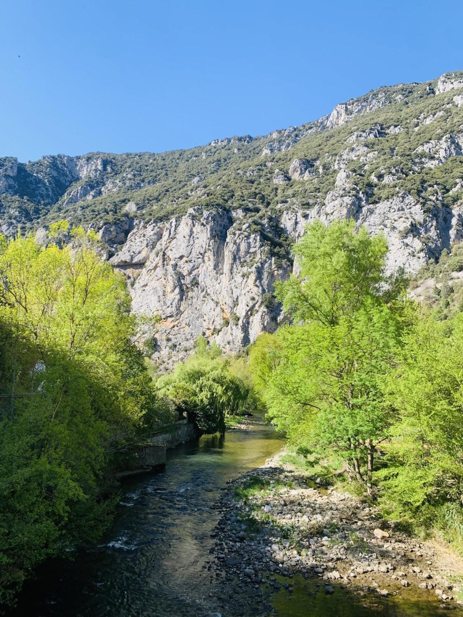 Saint-Martin-Lys Aude Escape Bed & Breakfast エクステリア 写真